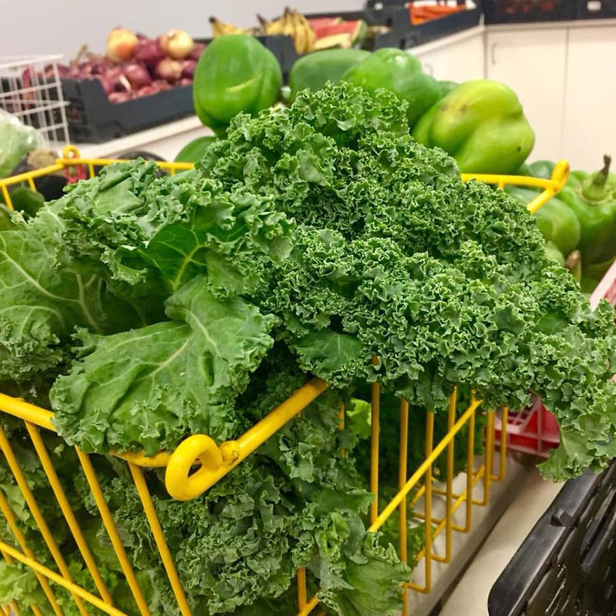 fresh produce at the FISH Food pantry in Roseburg, OR